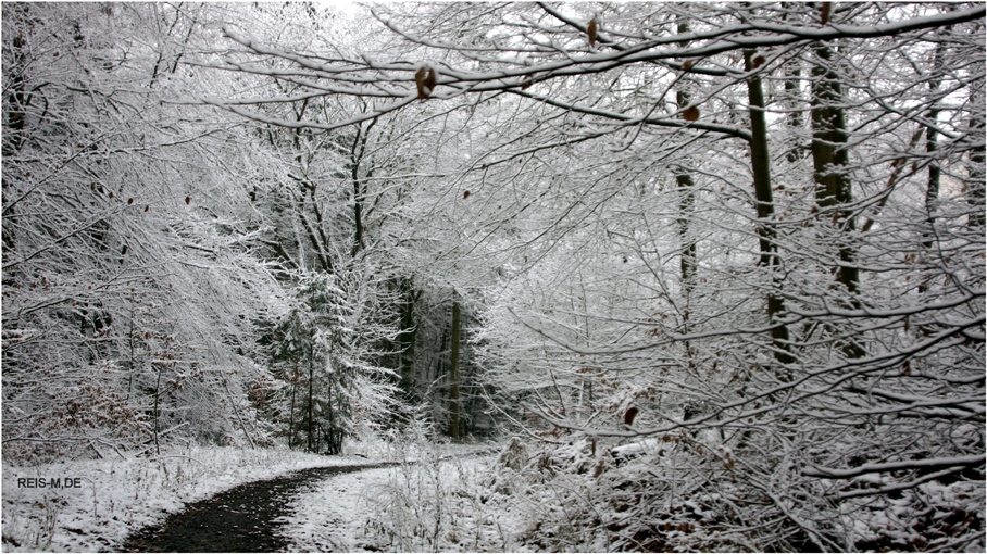 Winter-Etüde.