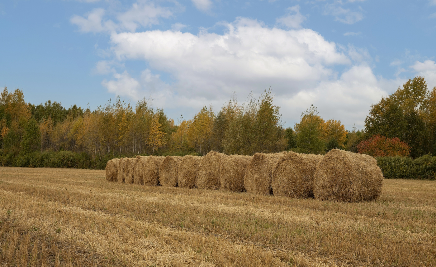 In Erinnerung an die Herbst