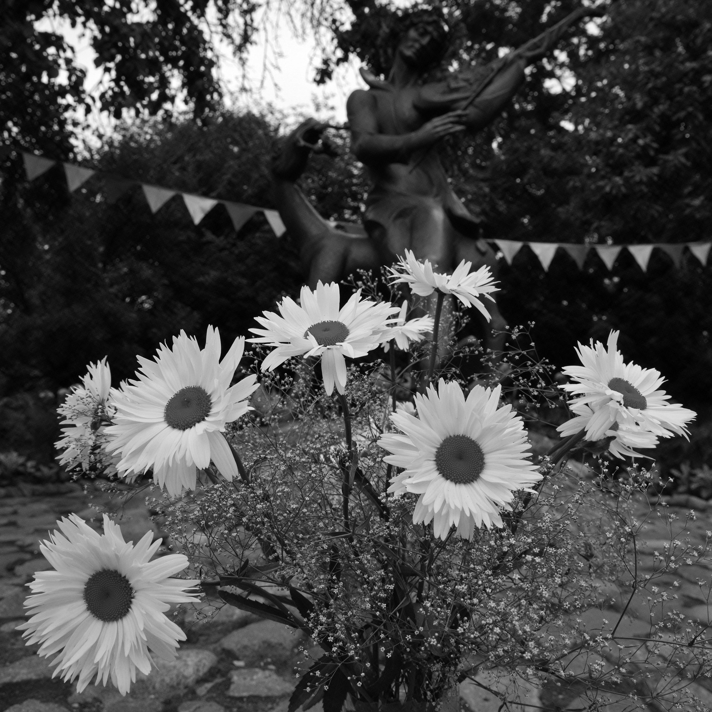 Happy birthday, Mark!