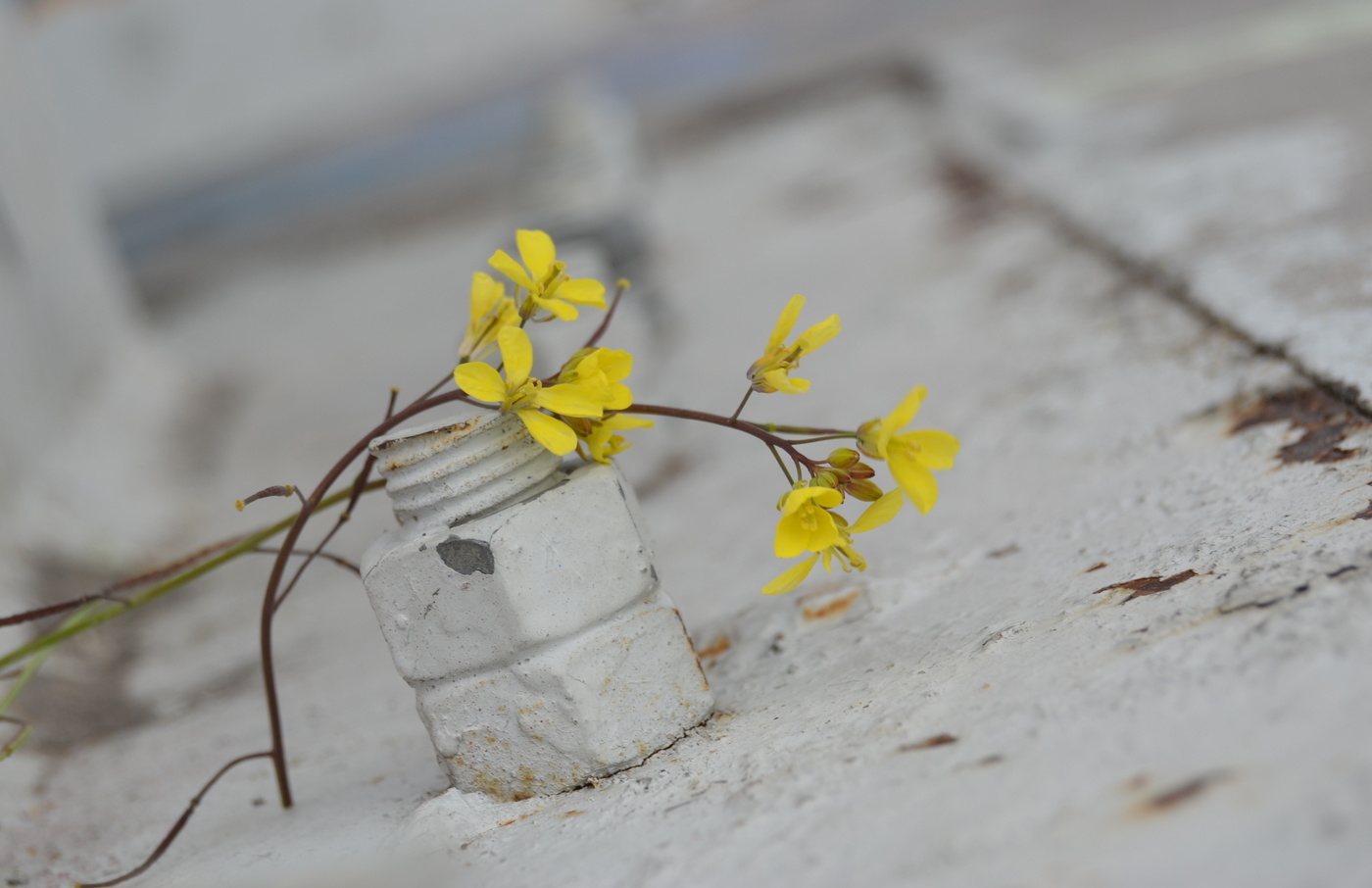 Estar en lugar adecuado.