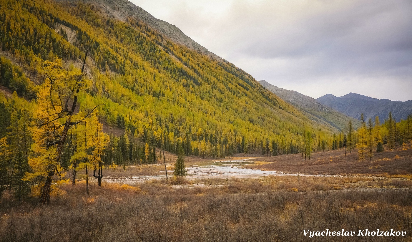 Autumn Altai