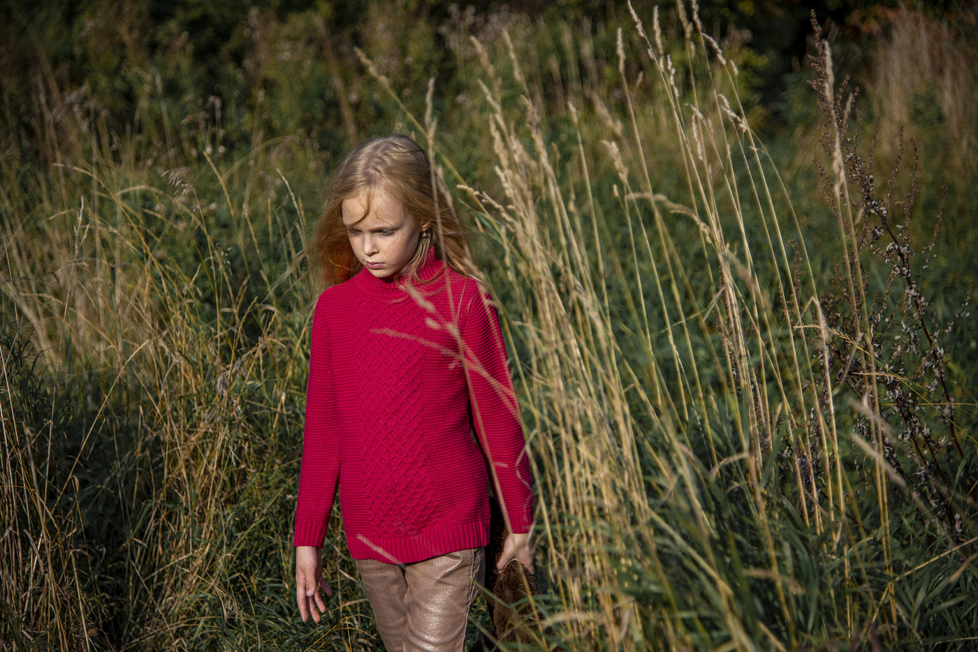 die Veröffentlichung