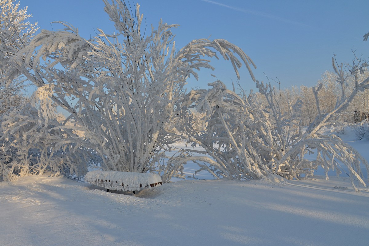 im verschneiten Dekoration