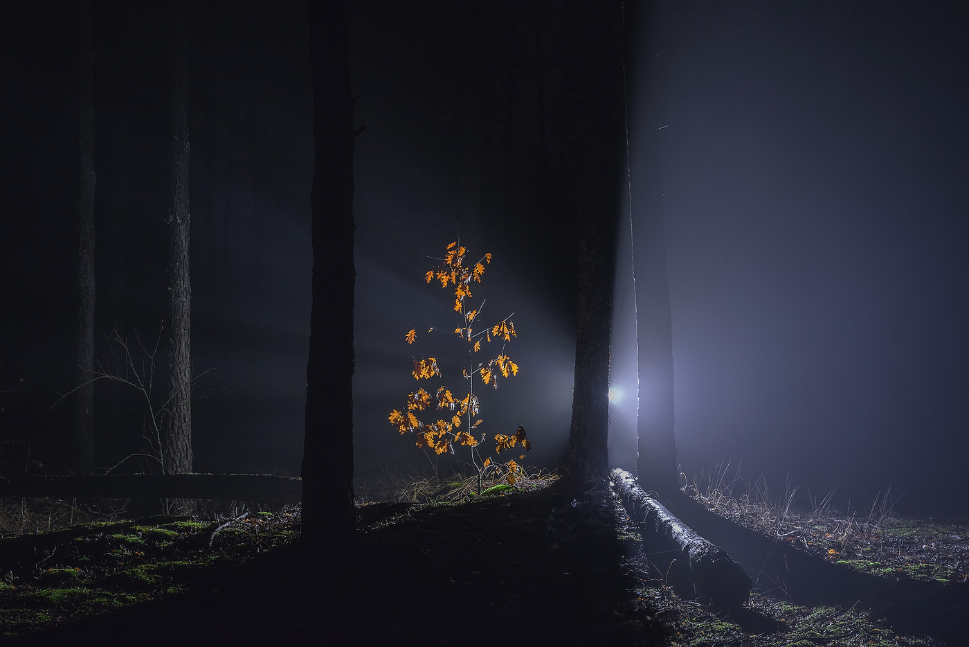 allein in der Dunkelheit