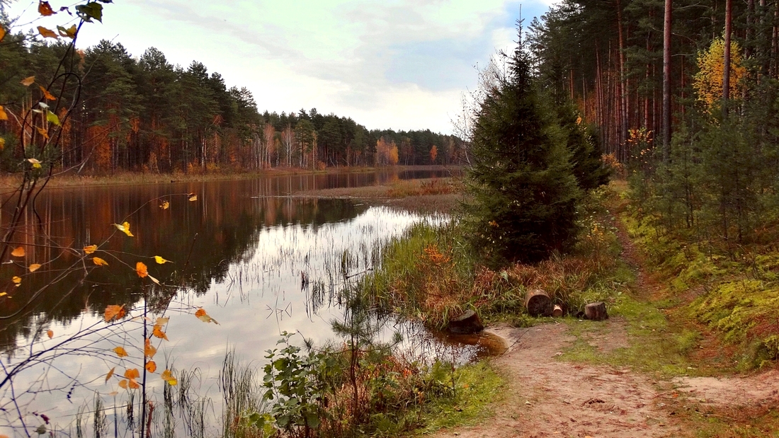 In Erinnerung an die Herbst