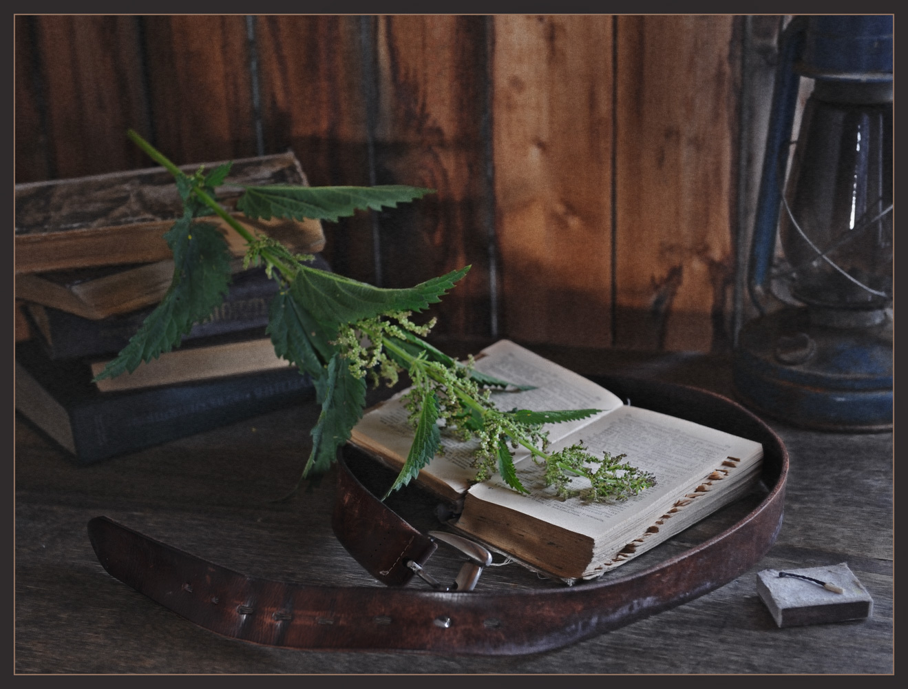 Wissenschaftler - Light