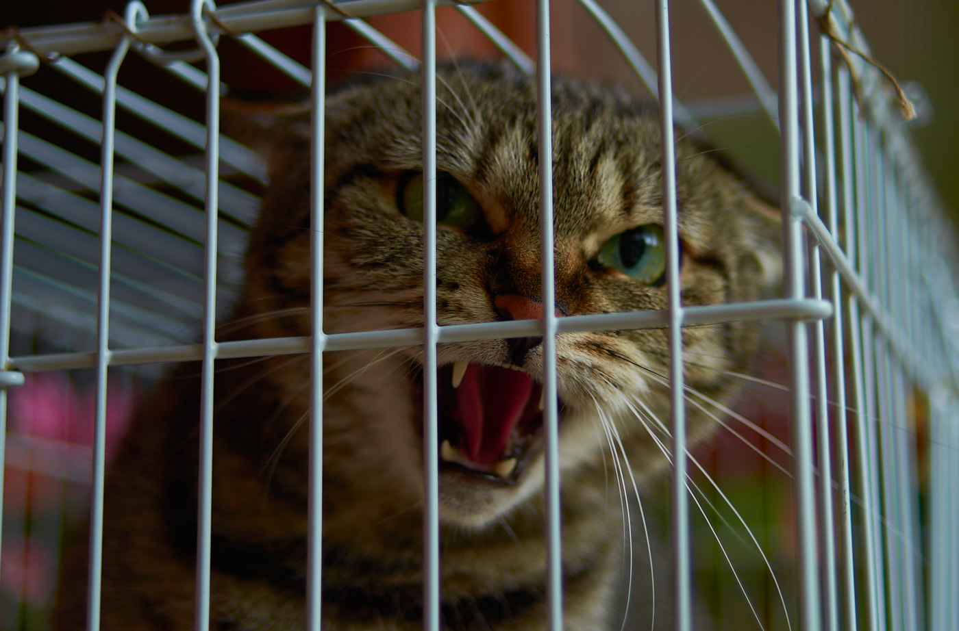 in einem verschlossenen