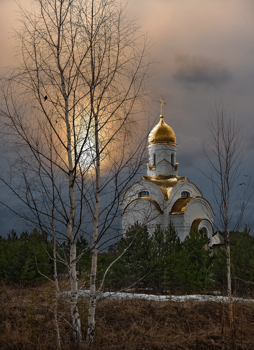 Die Saatkrähen sind angekommen