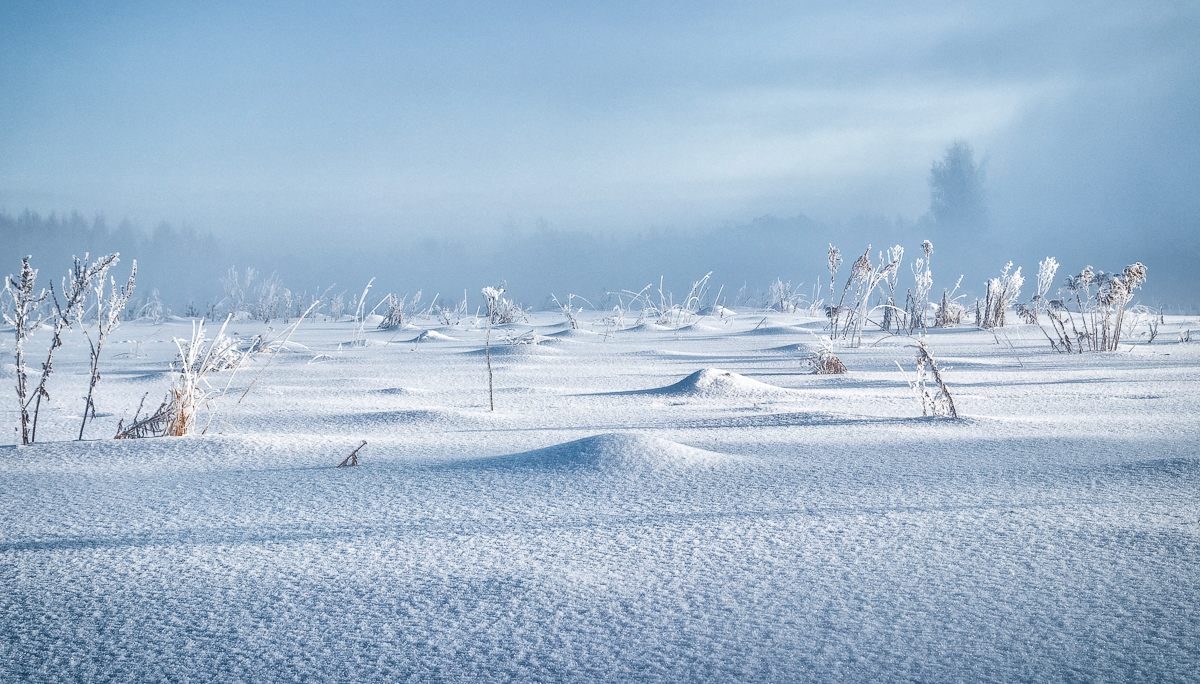 Misty Morgen, Morgen sedoe ...