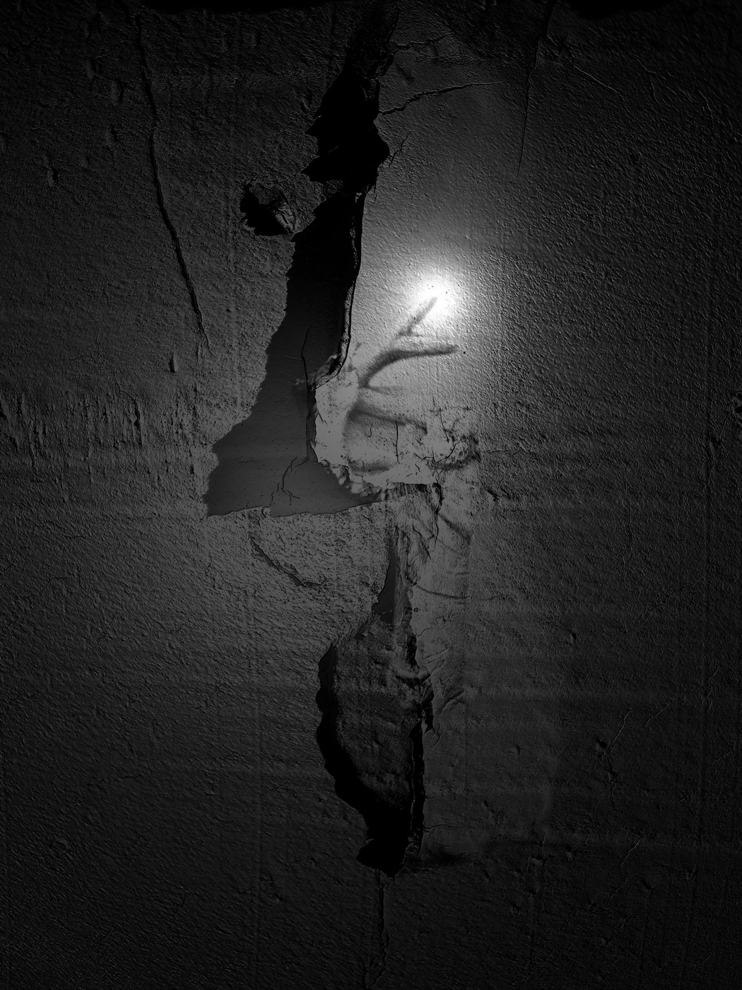 Die Ankunft des Lichts