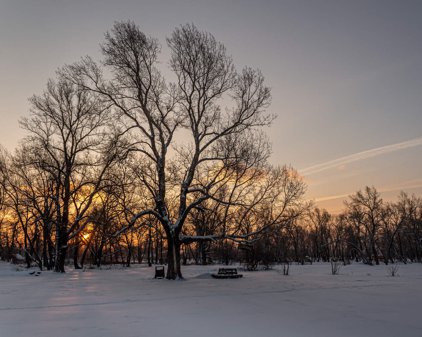 Im Licht des Sonnenuntergangs.