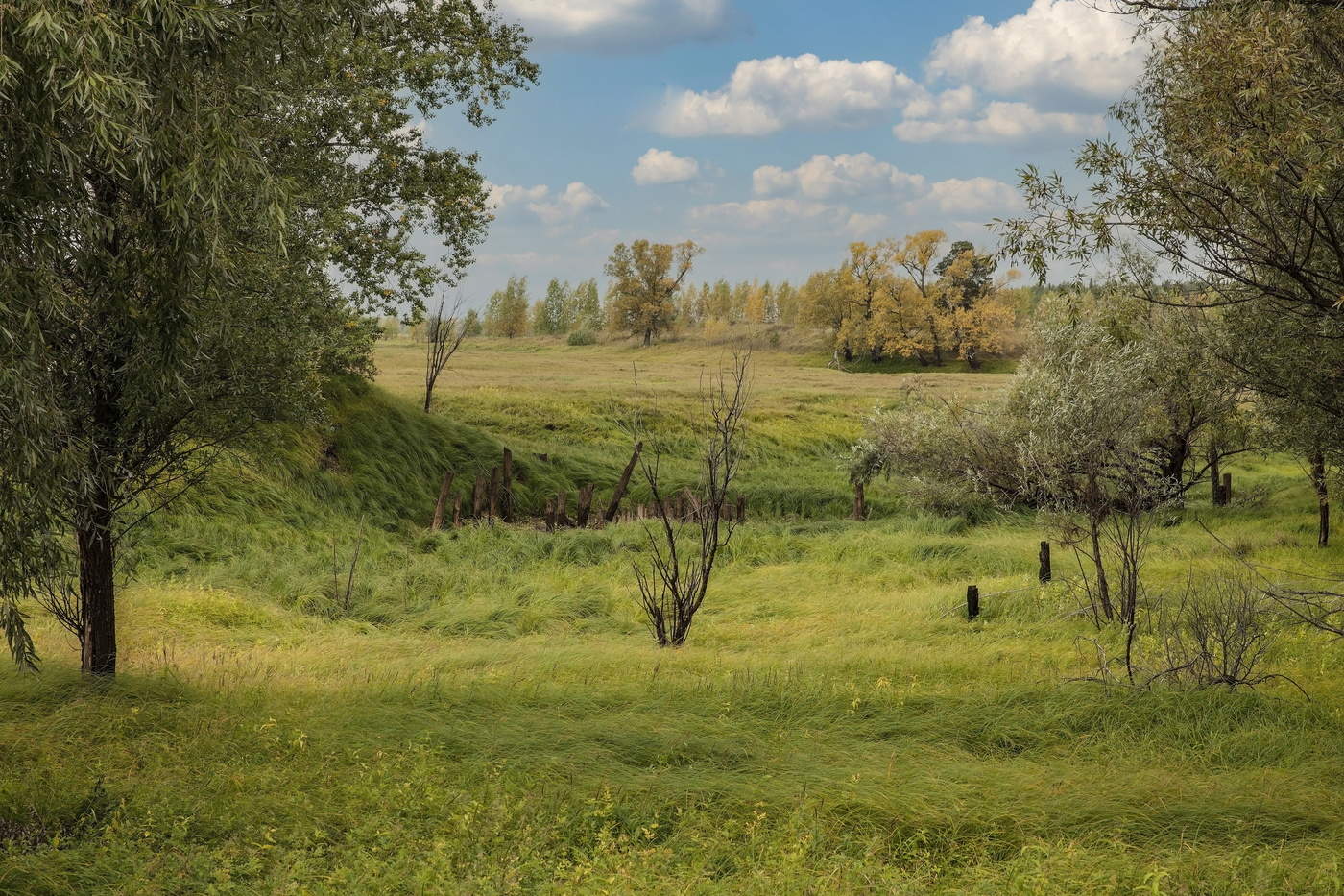 In Erinnerung an die Herbst