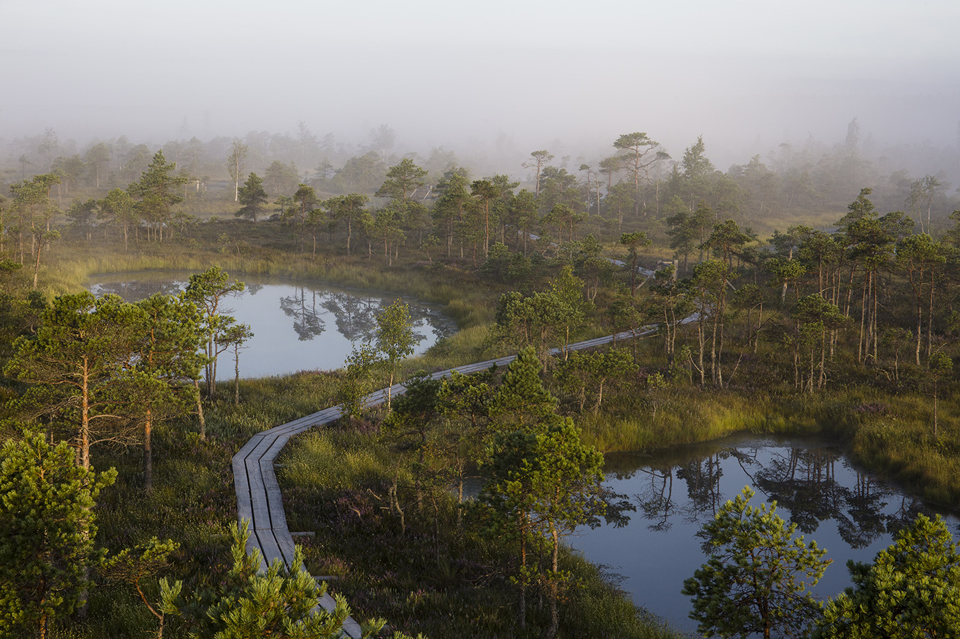 Spaziergang im Nebel