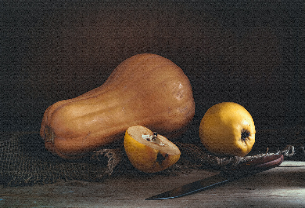 Stillleben mit Kürbis