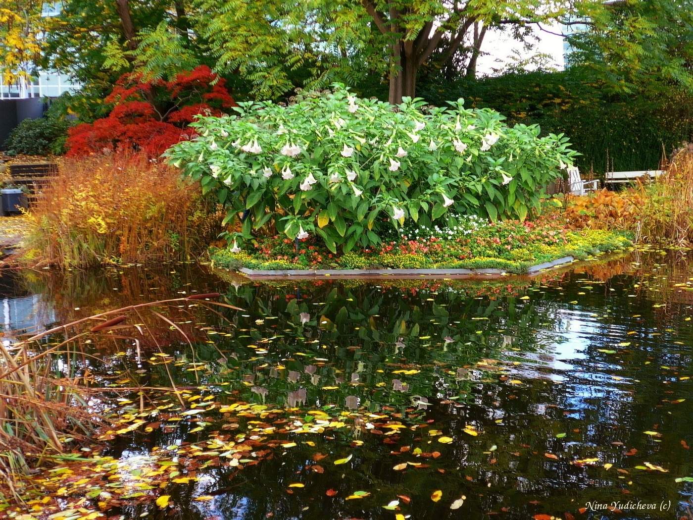 Planten un Blomen Hamburg