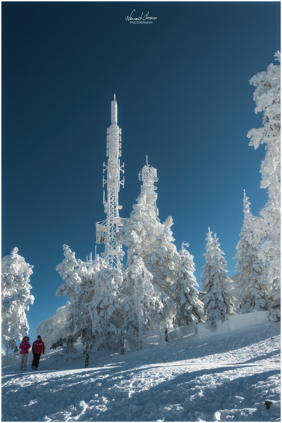 Zlatibor Mountain Serbia