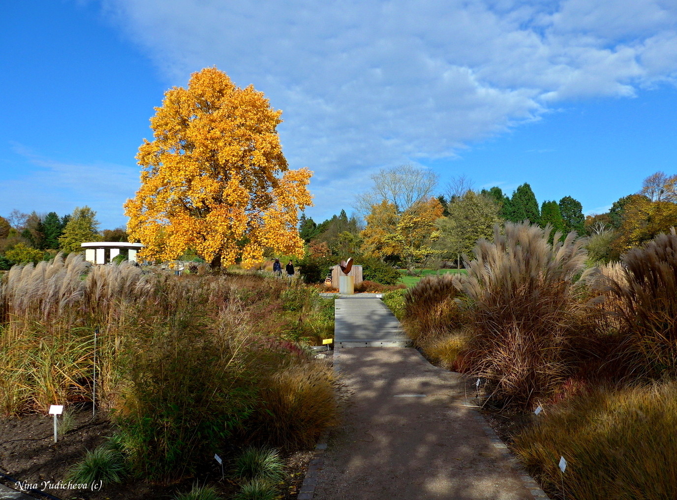 Loki Schmidt Garten Hamburg