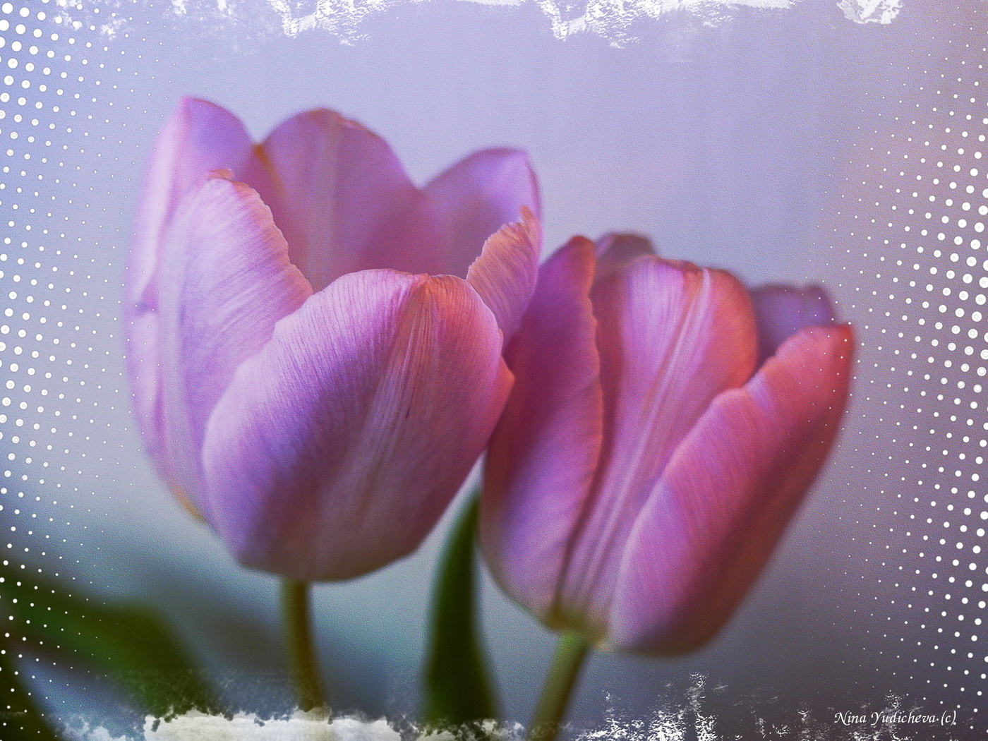 Premonition des Frühlings