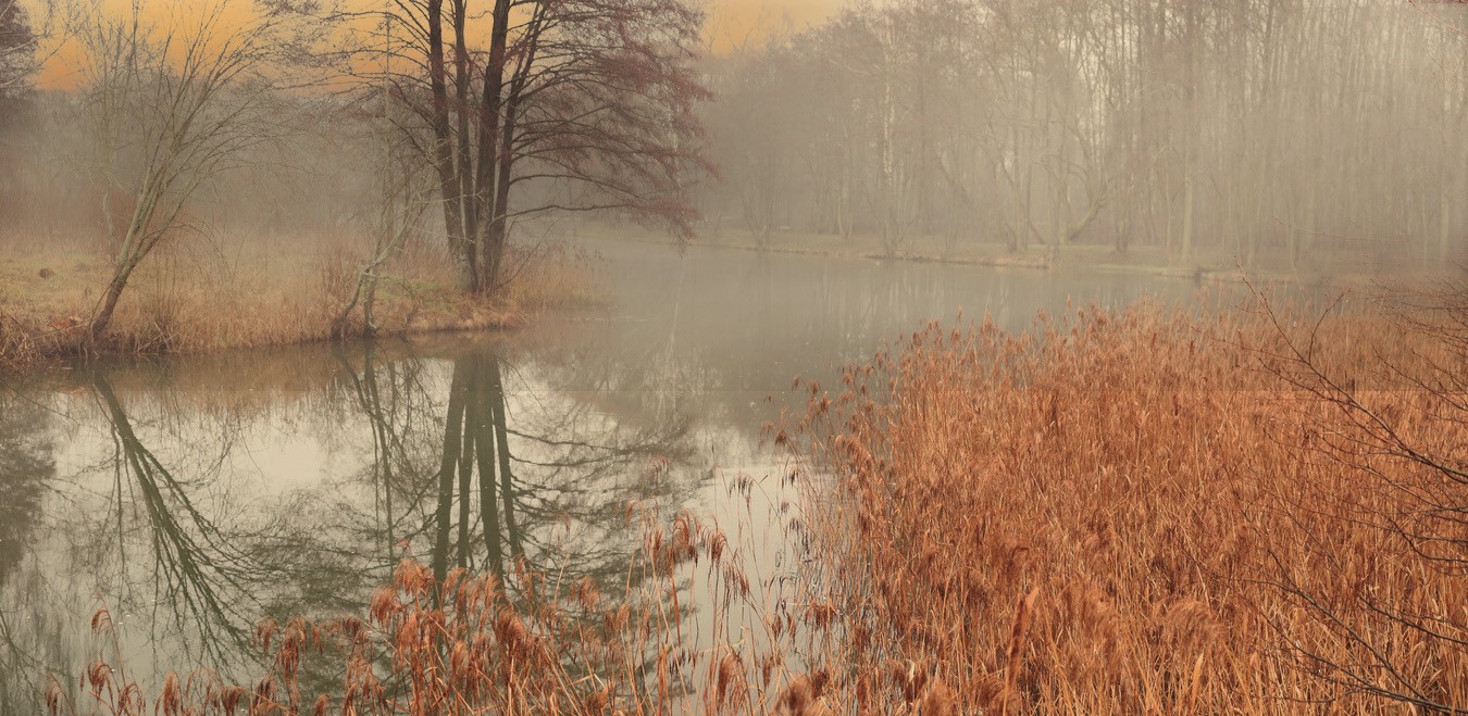 In Erinnerung an die Herbst