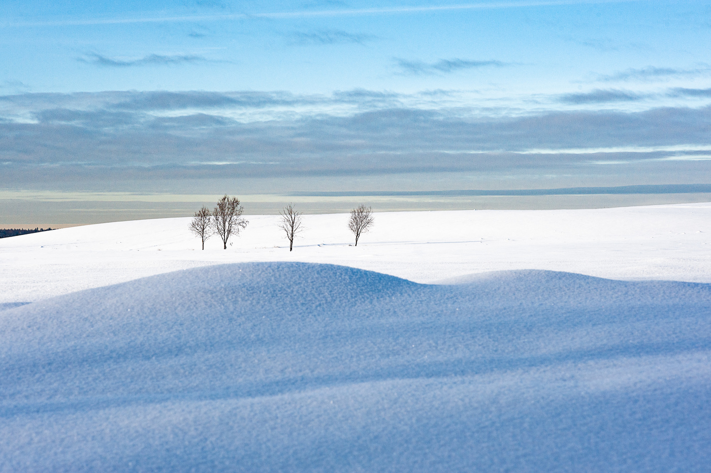 Winterlandschaft
