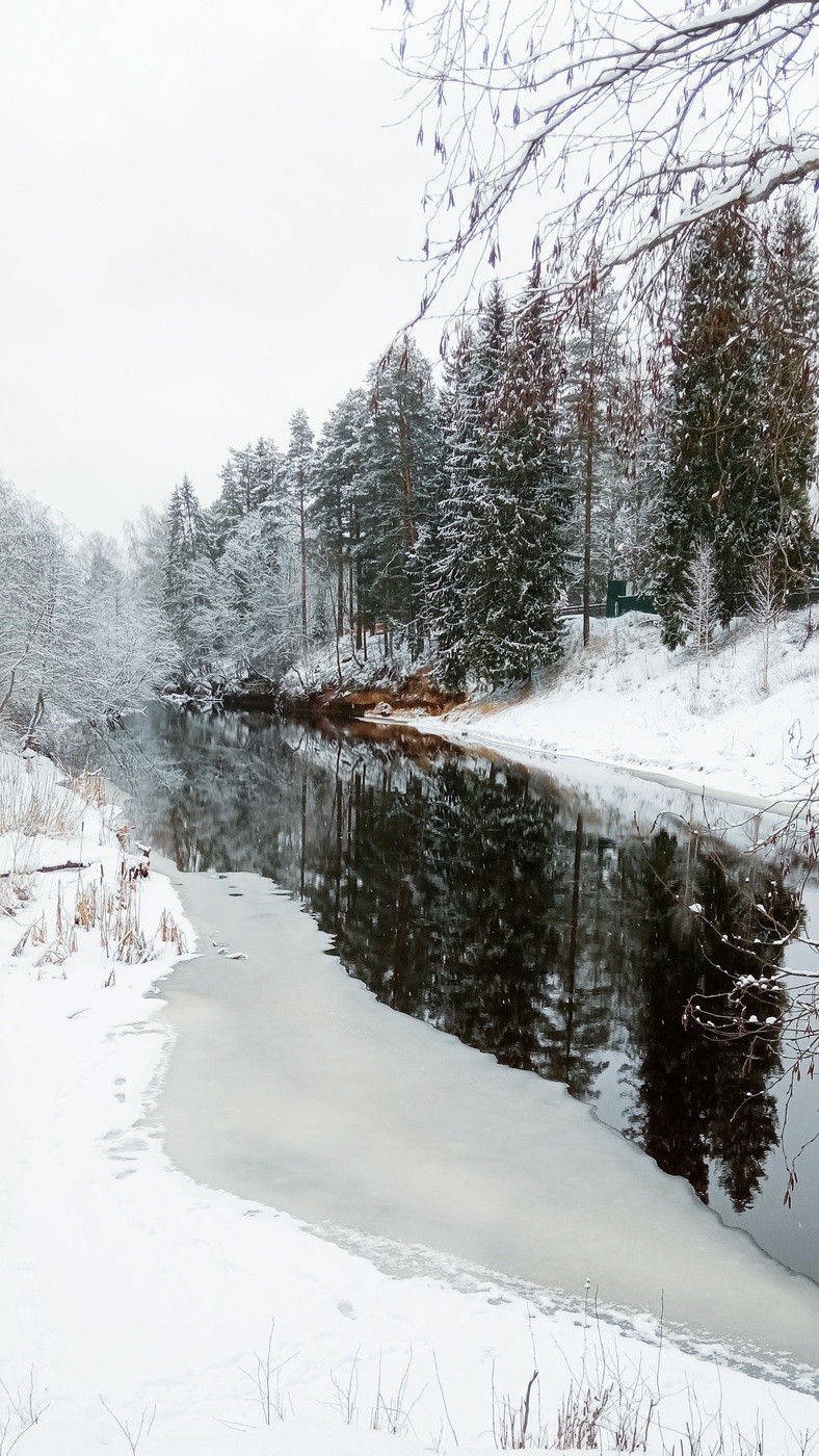Winterlandschaft