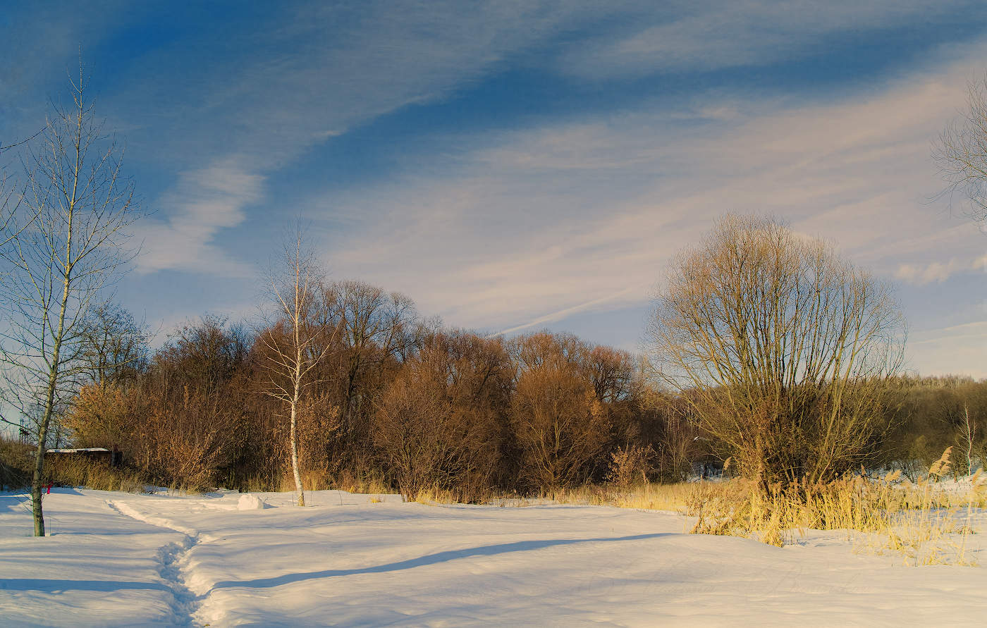 Warten auf den Frühling