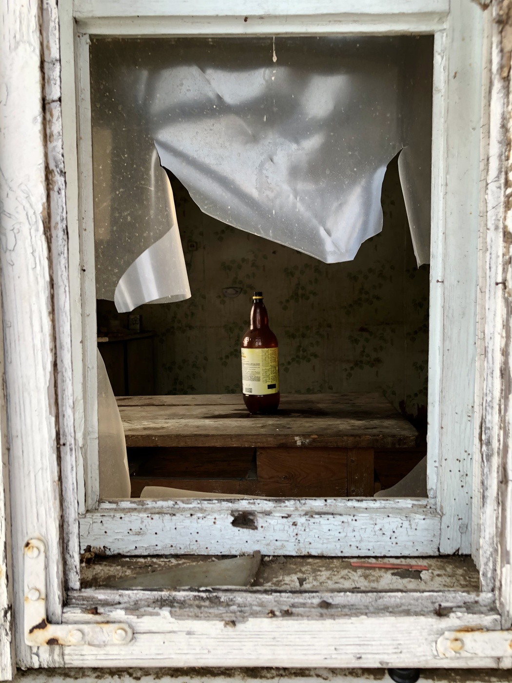 Leben nach dem Leben