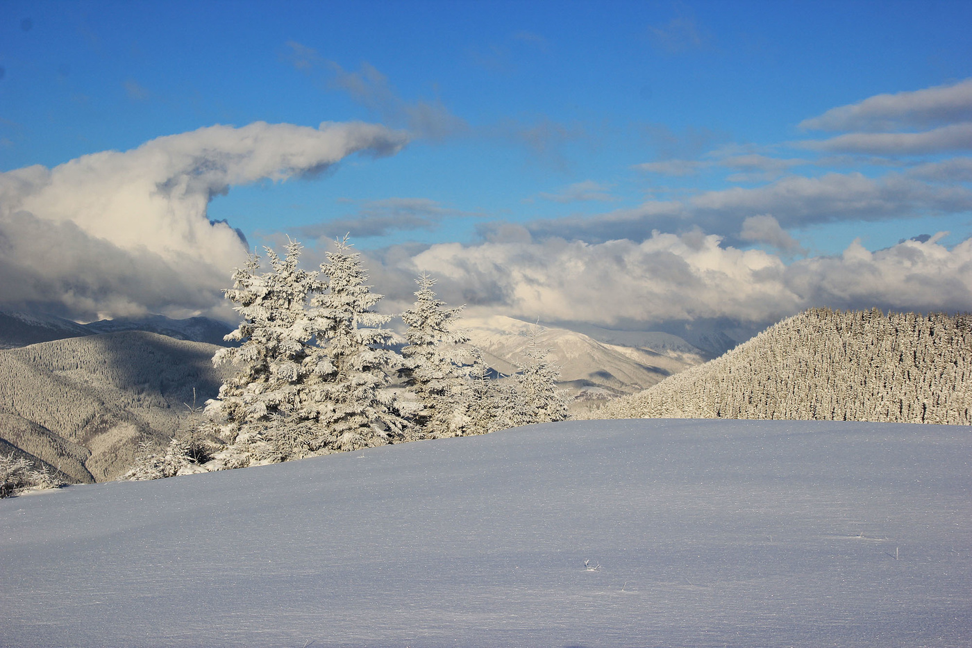 Nach einer nächtlichen Schneefall