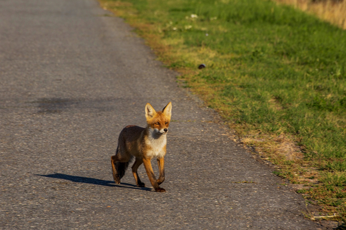 Begegnung auf der Straße