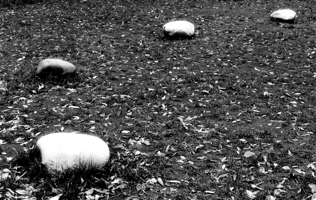 Eine Zeit, Steine ​​zu sammeln ...