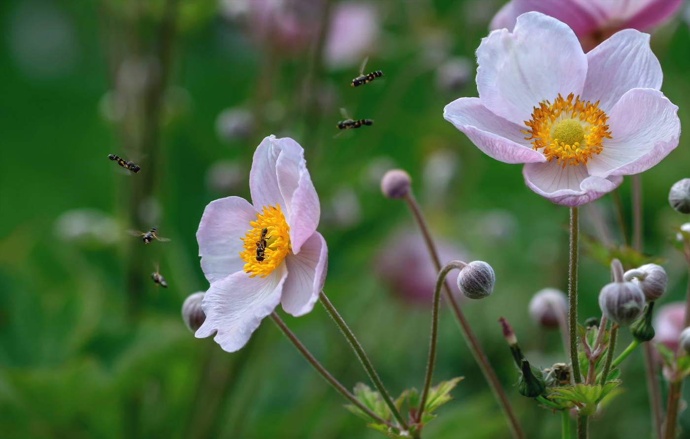 Gemeinschaftsverpflegung