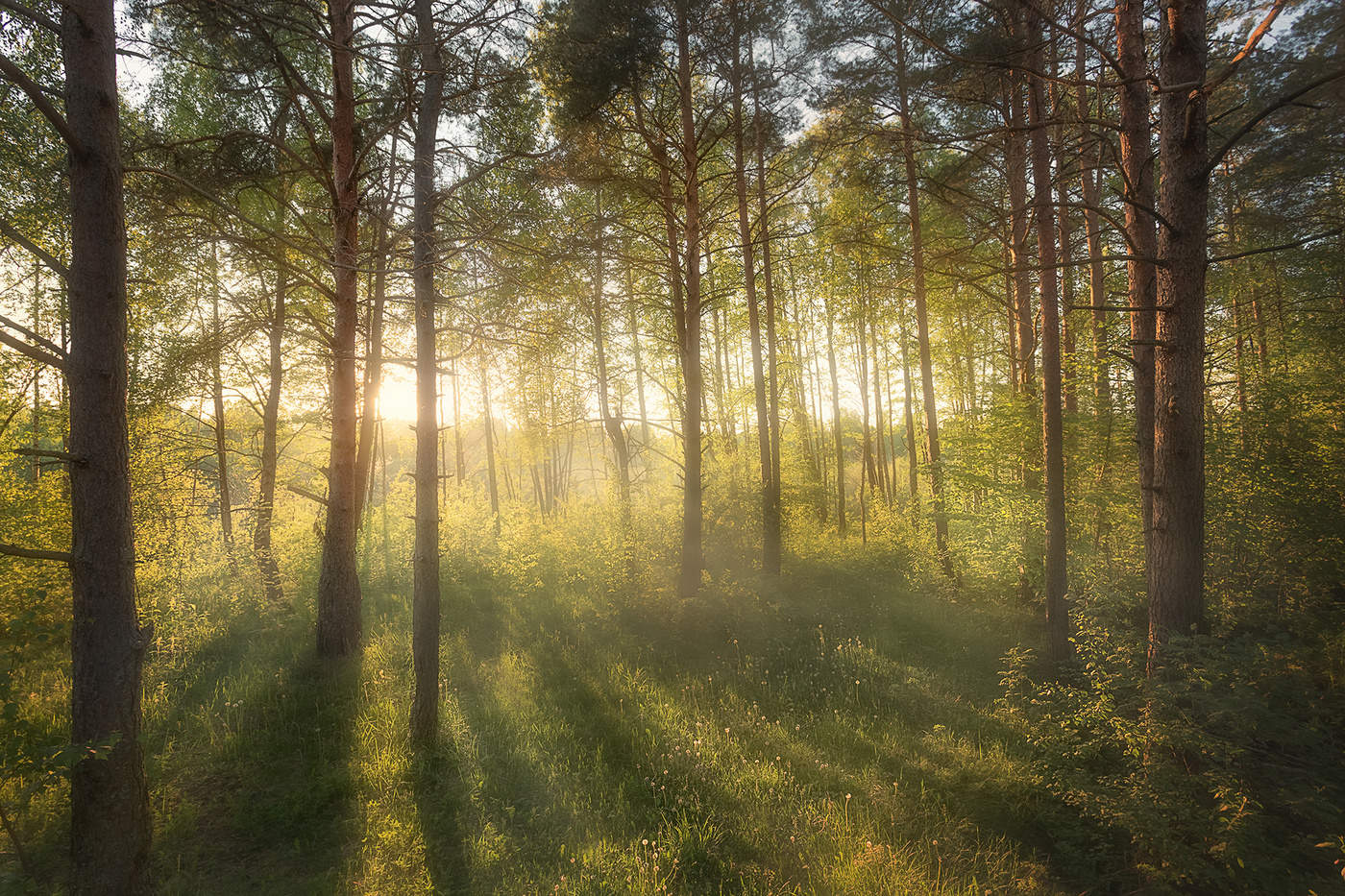 Der Frühling kommt!