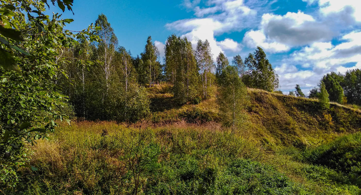 Ein bisschen Sommer.