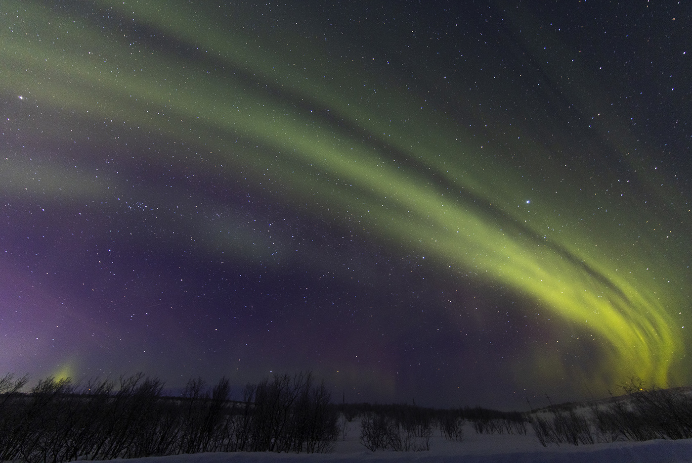 Nordlicht