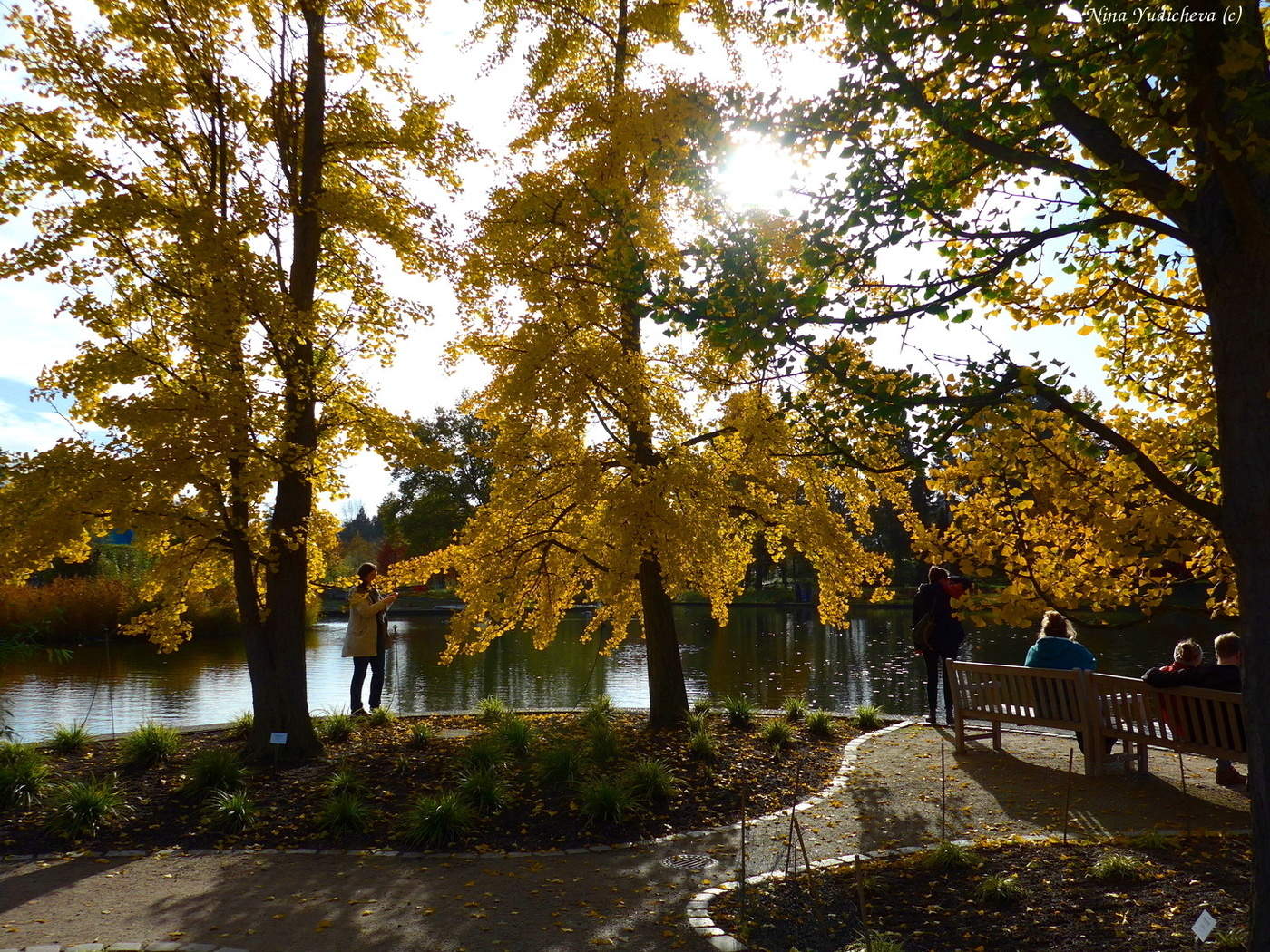 Loki Schmidt Garten Hamburg