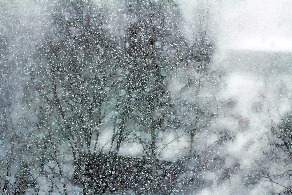 Die Februar-Schneefall