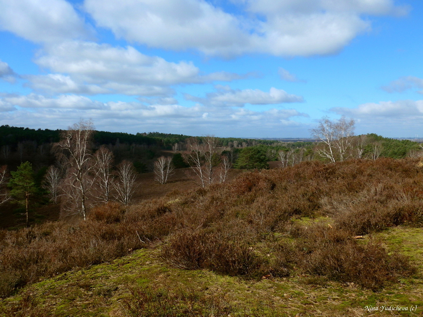 Fischbeker Heide Hamburg