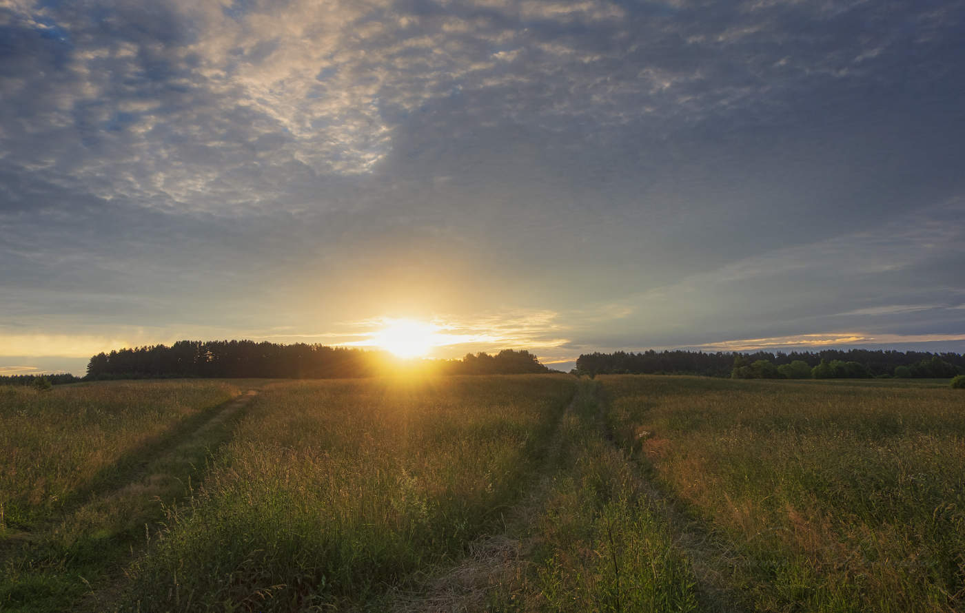 Straßen, die wir wählen