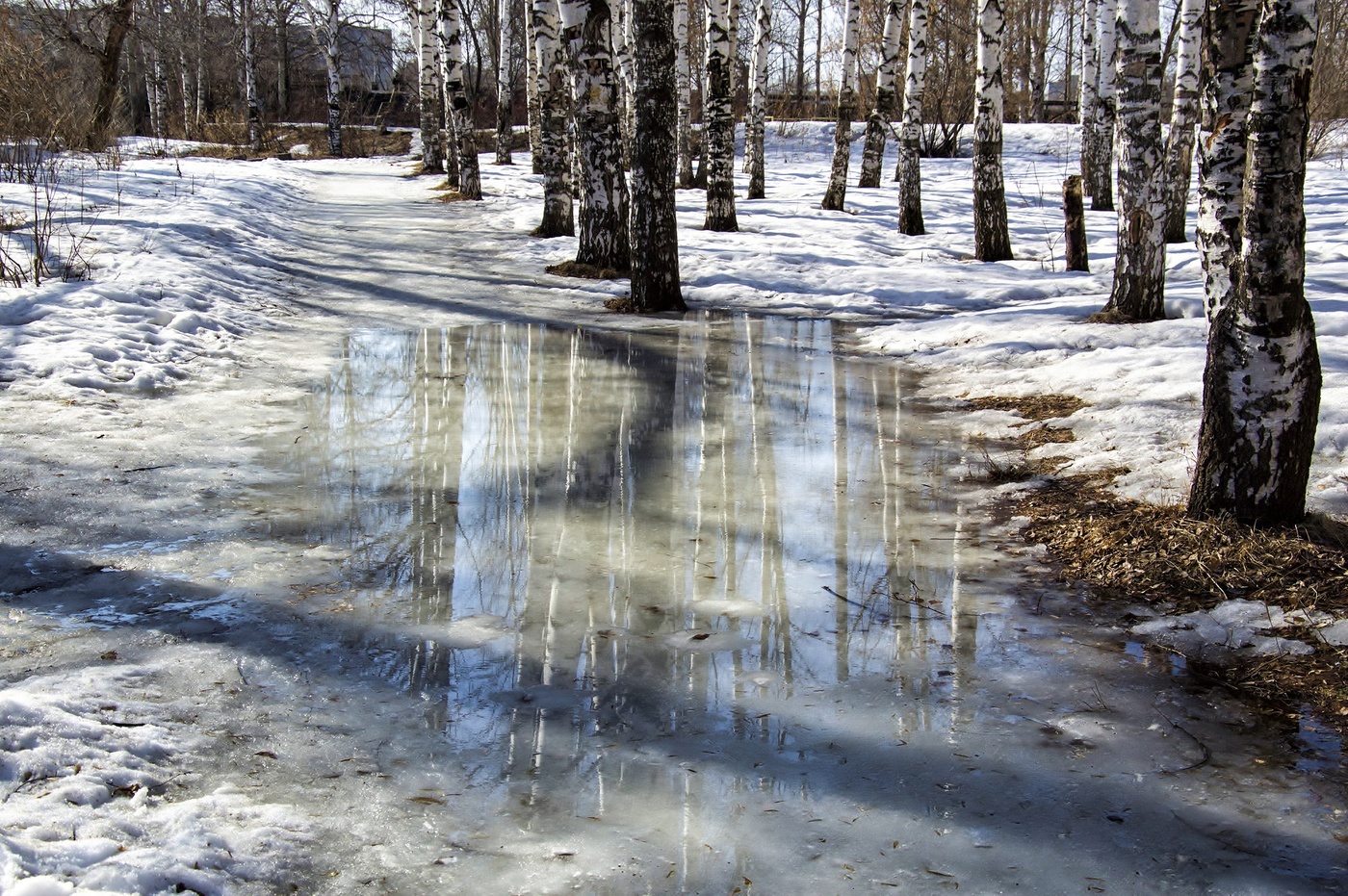 Frühling Geschichte