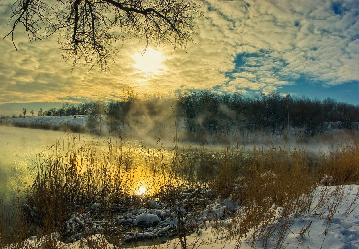 In den frühen Maota