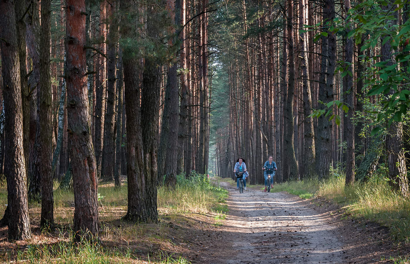 Dort auf unbekannte Wege ...