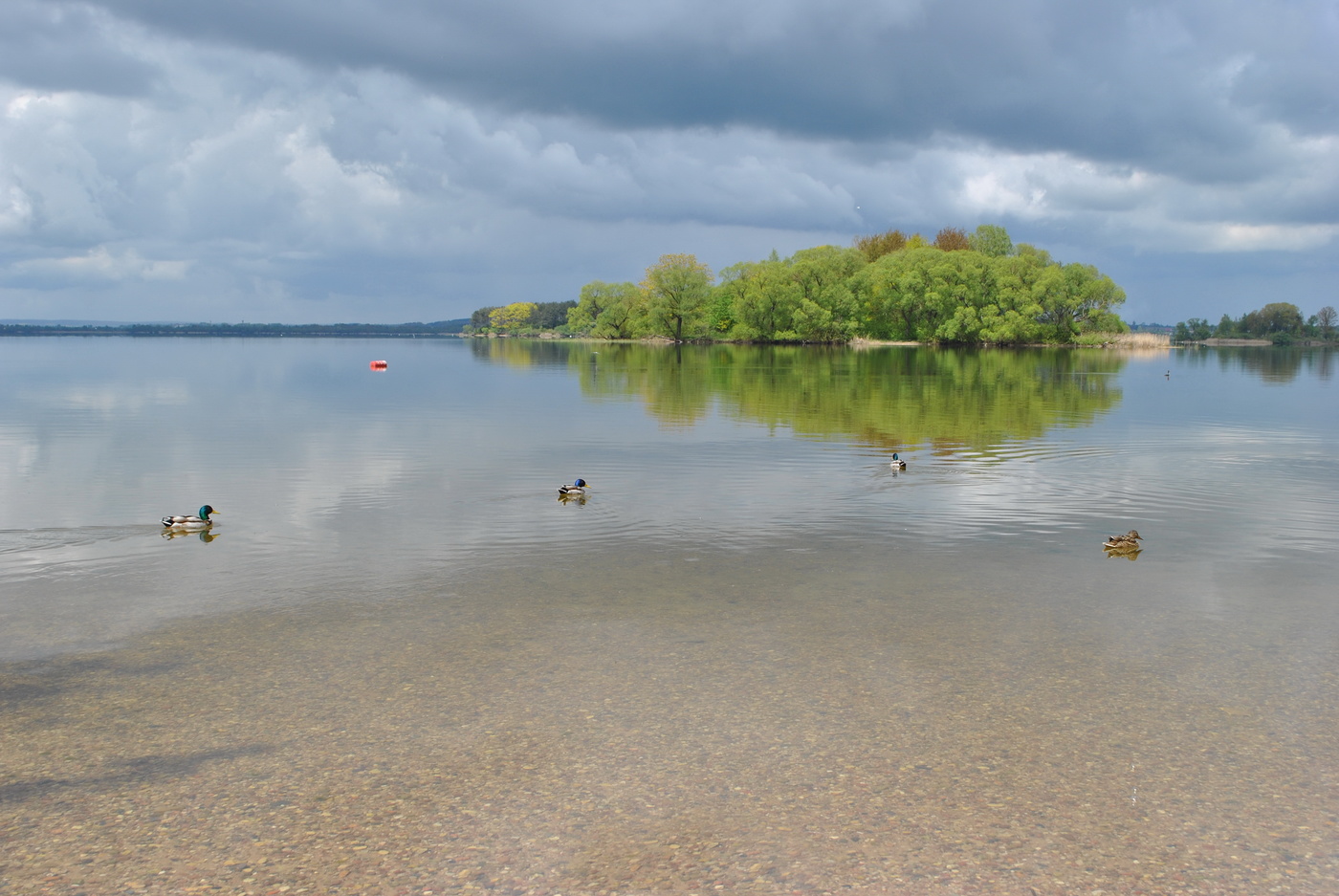 Spring durch den Spiegel