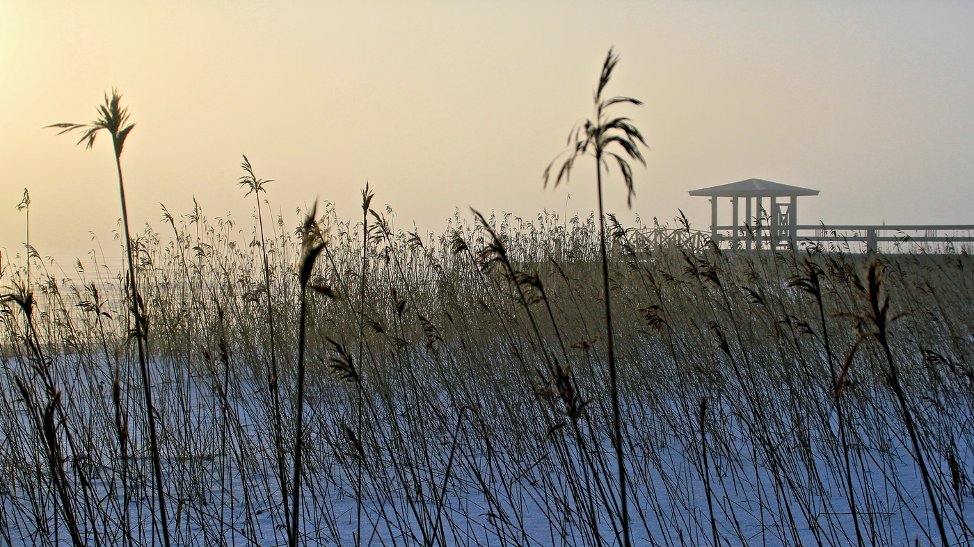 Sonnenaufgang über dem Fluss