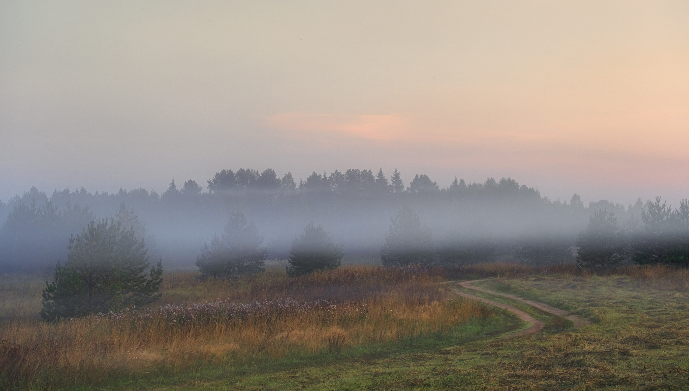Straße im Nebel