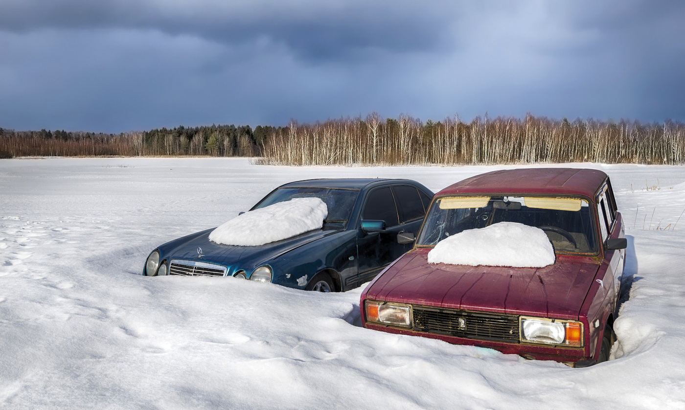 Die ersten Schneeglöckchen