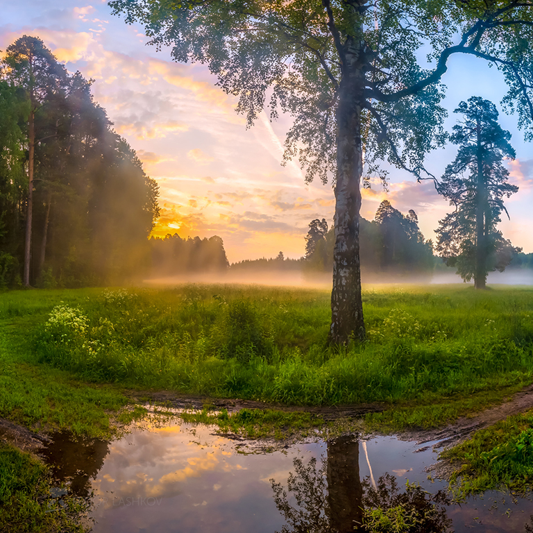 Nach einer Nacht der regen