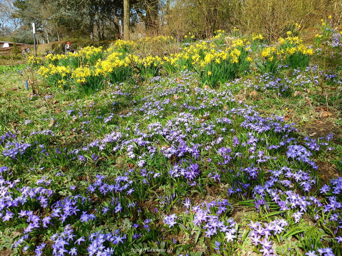 Planten un Blomen Hamburg