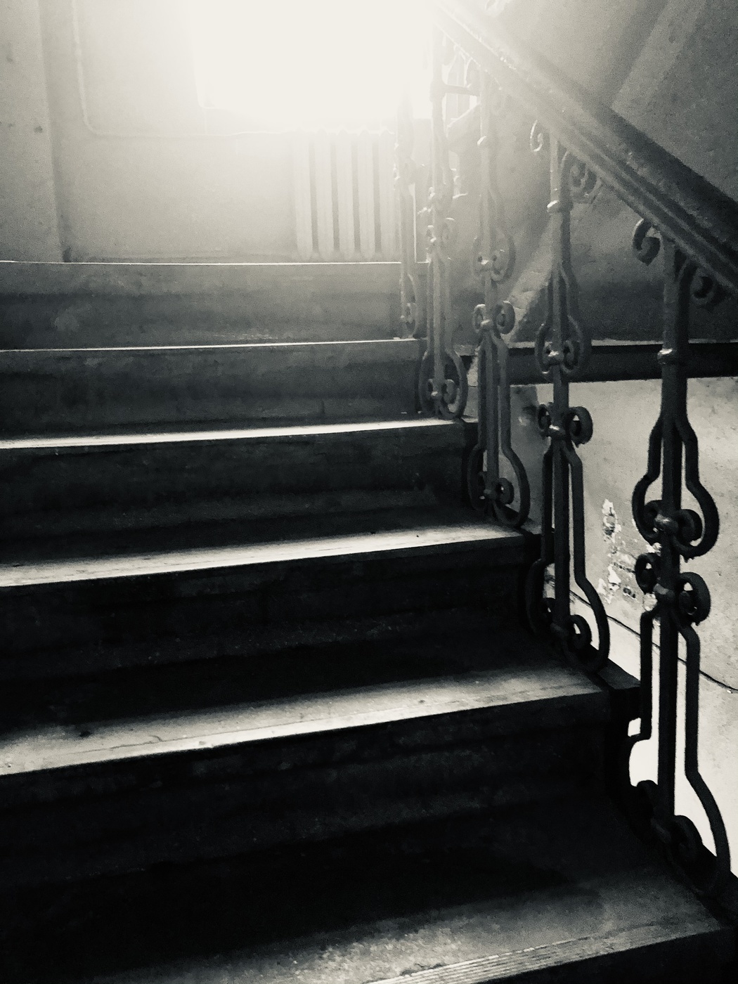 Leben nach dem Leben