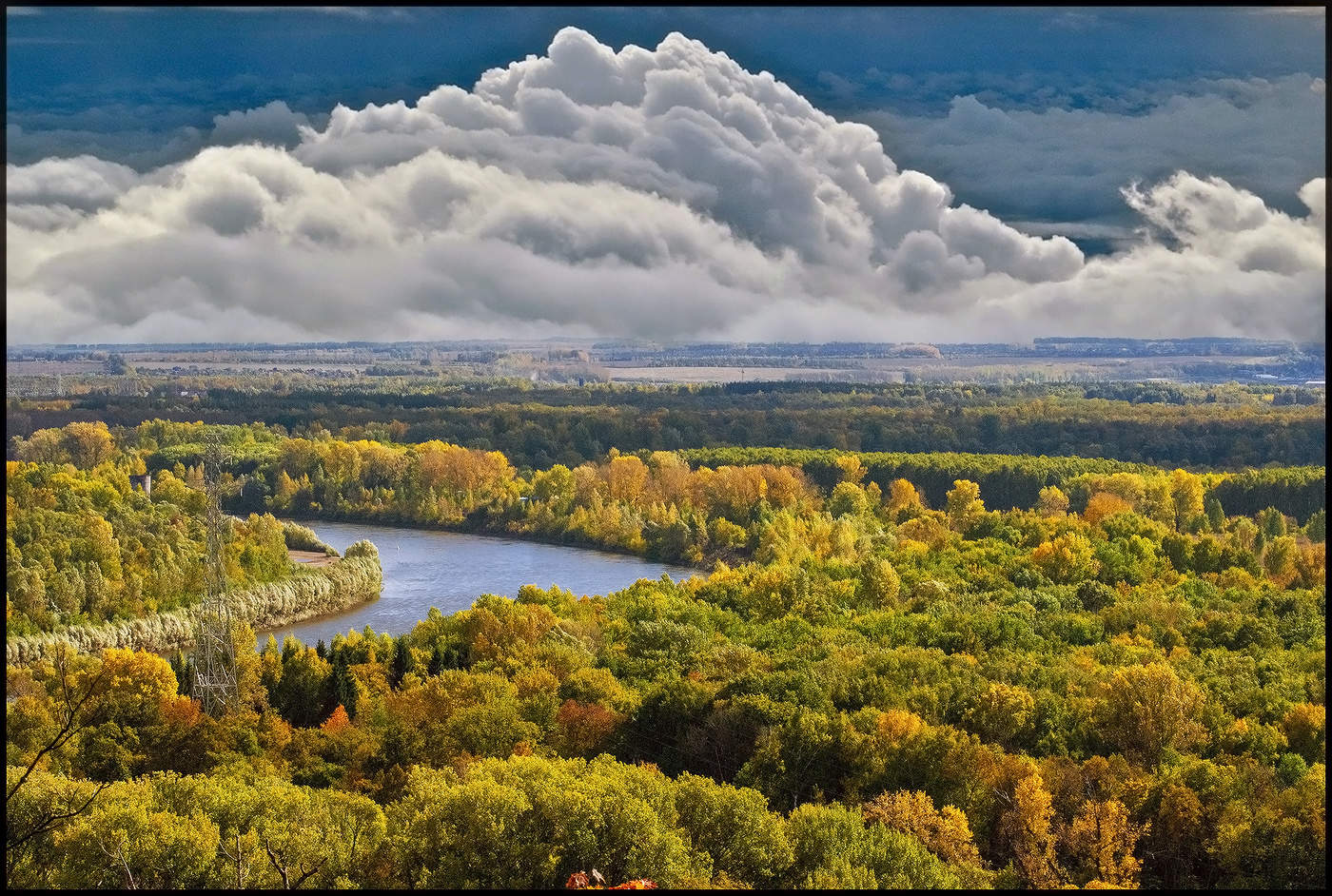 Einheimische Freiflächen