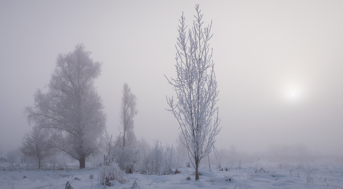 In der frostigen Nebel